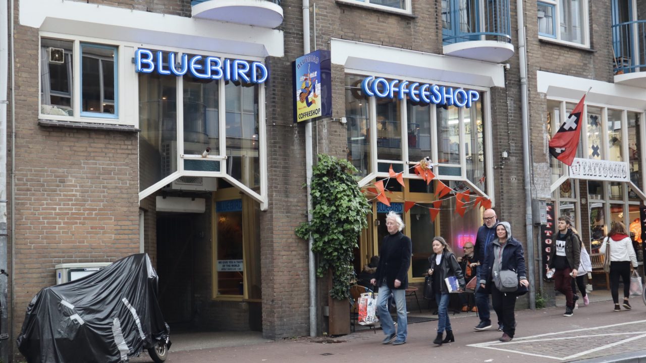 合法 オランダコーヒーショップでの大麻体験談 トラベルキイブログ