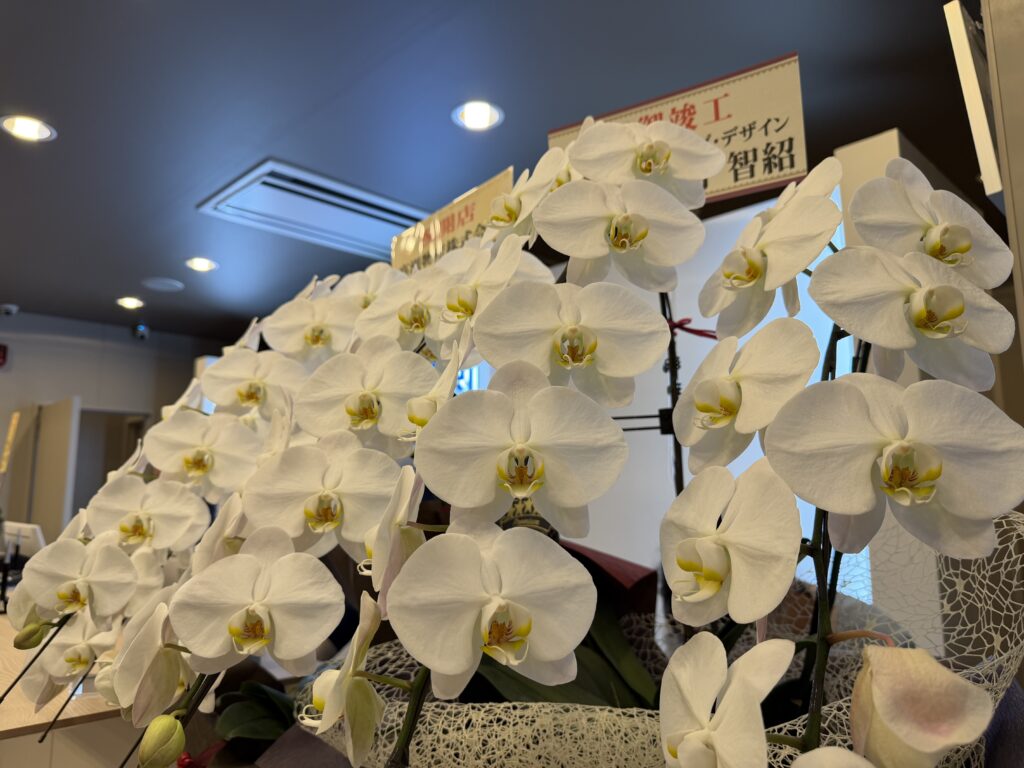 東横イン浜松駅南口